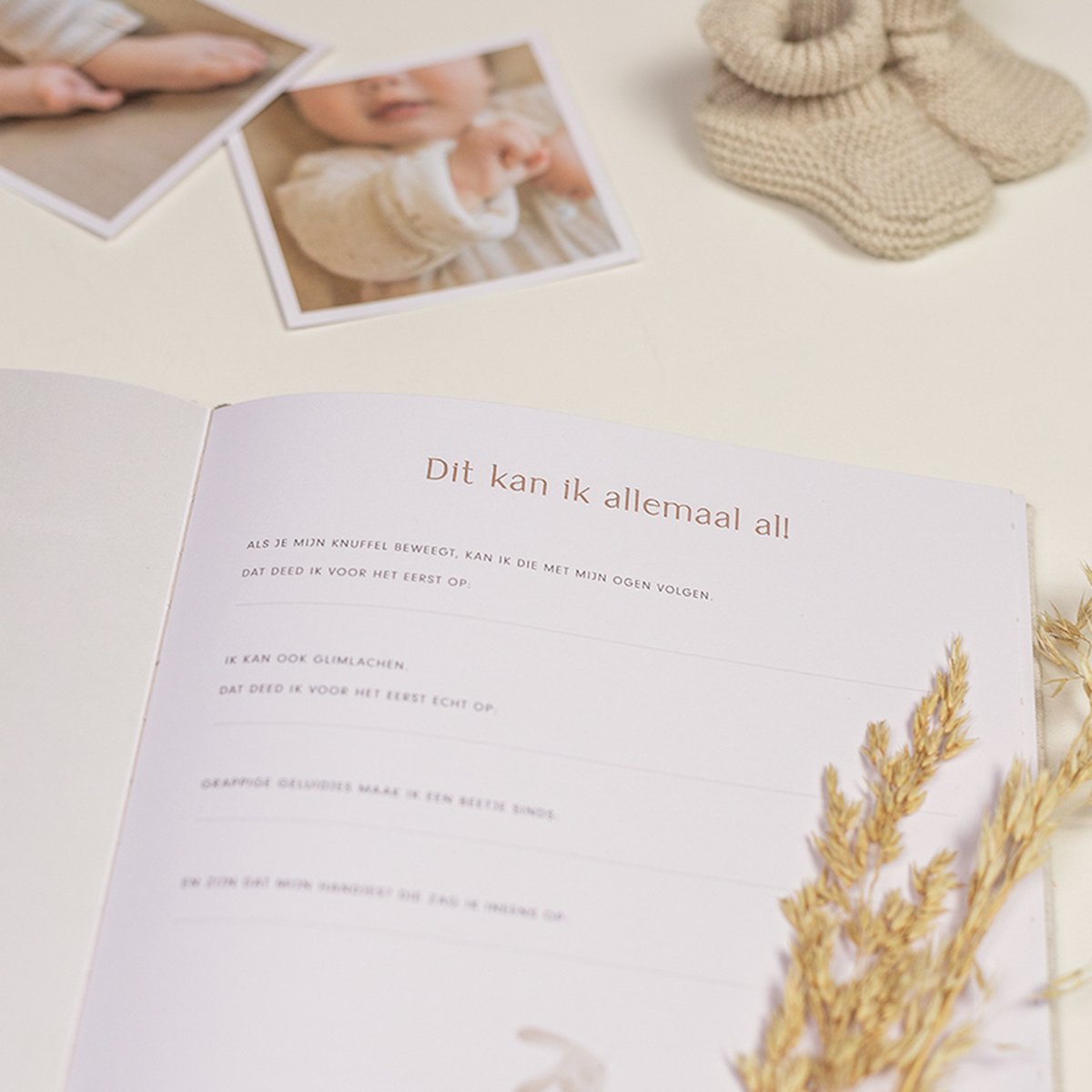 Mijn eerste jaar | Babyboek