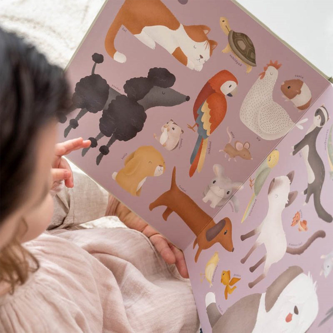 Mijn eerste | Dierenboek