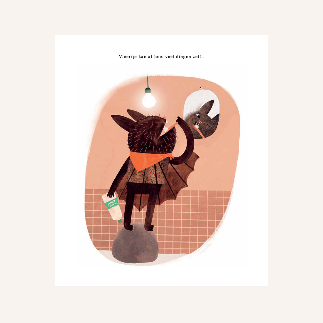 Vleertje muis 1 - Boek