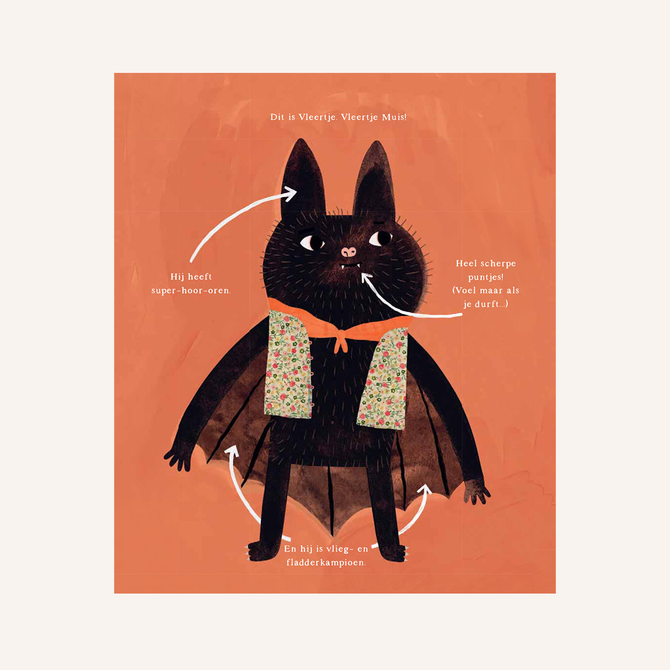 Vleertje muis 1 - Boek