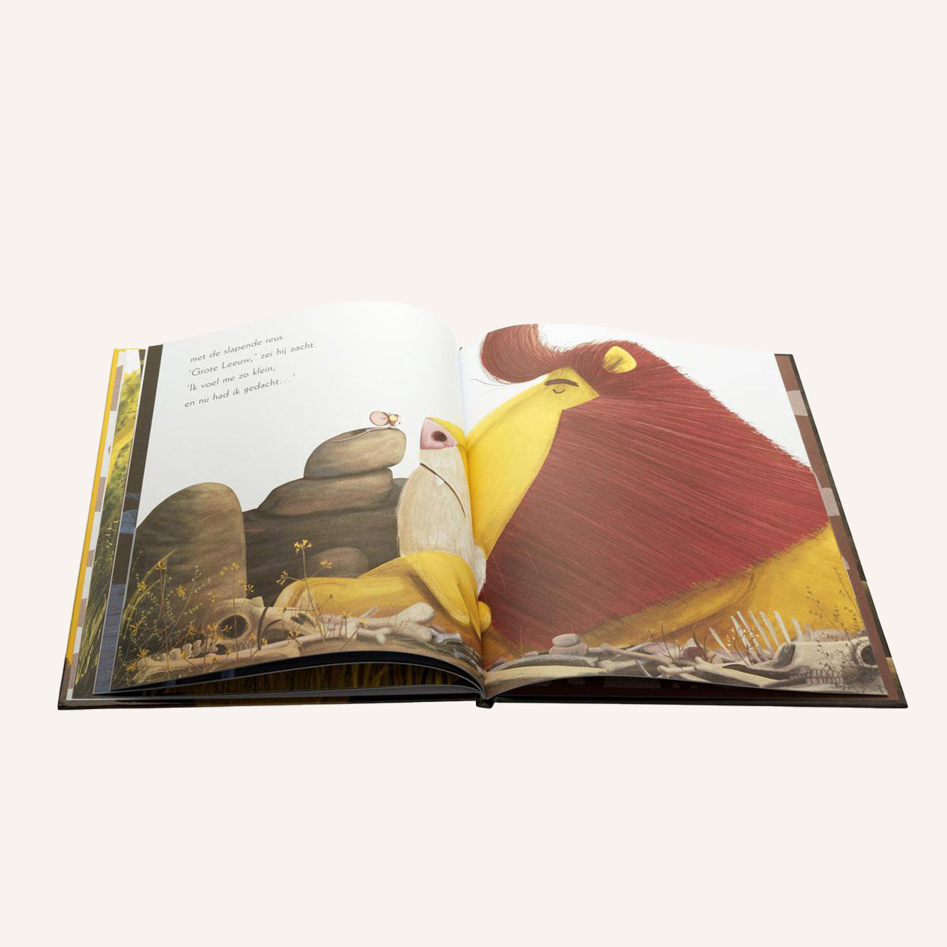 Leeuw In De Muis | Boek