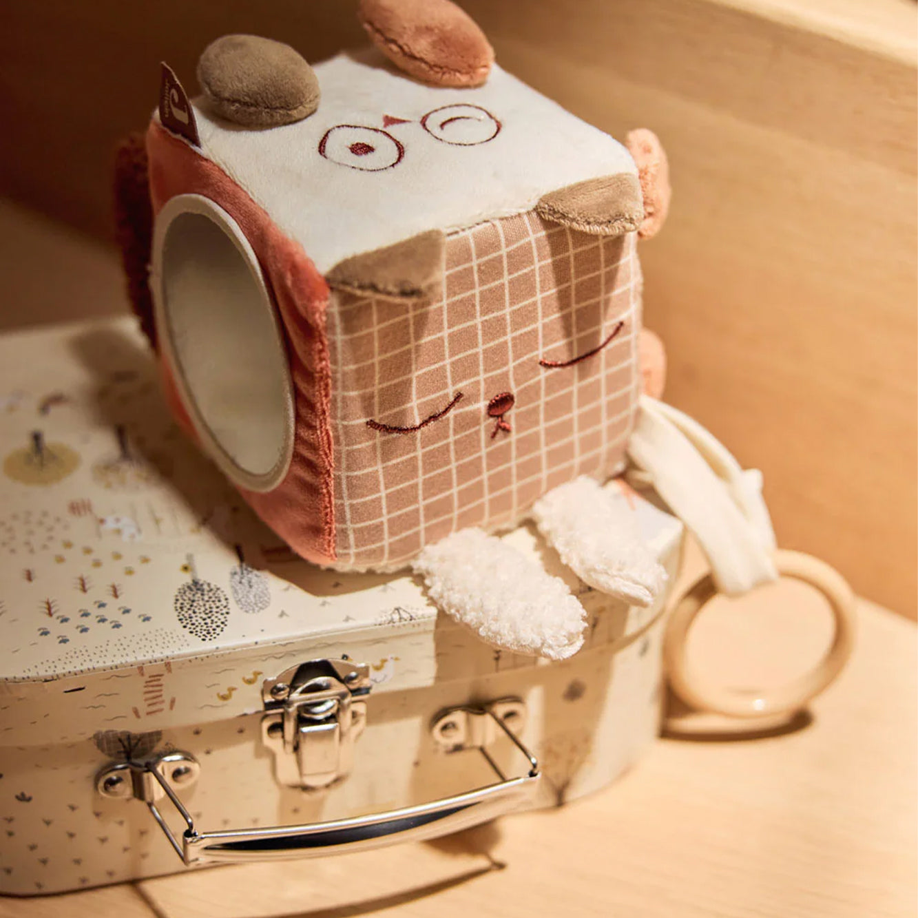 Animal Friends - Activiteitenkubus