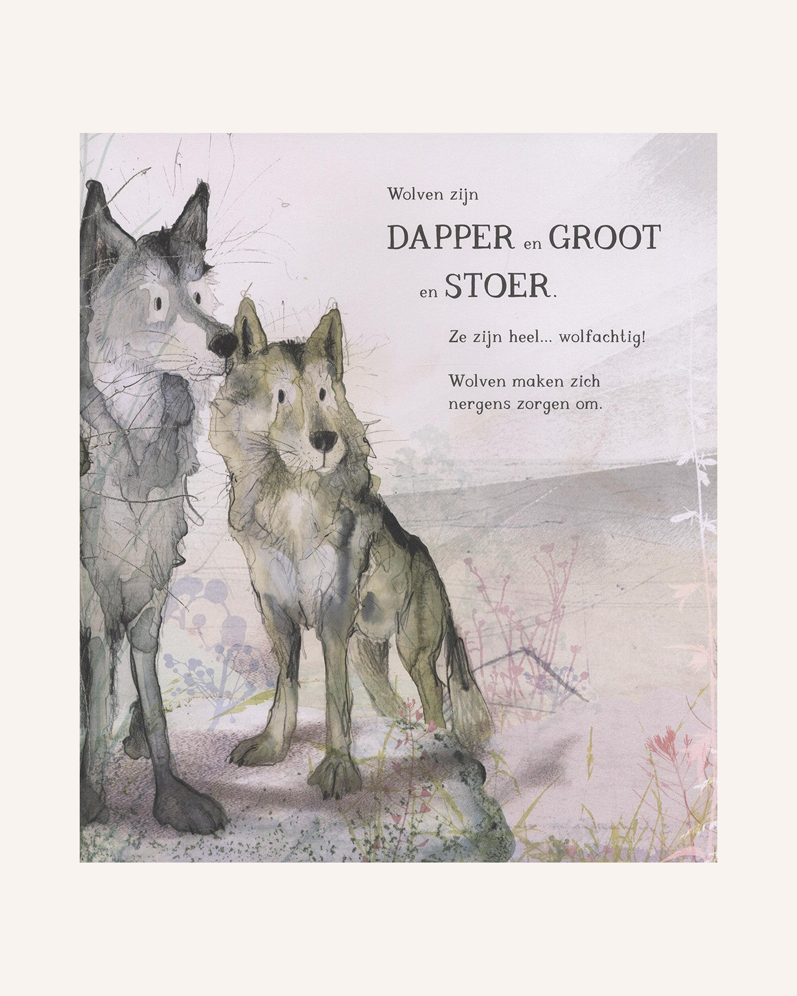 Kleine Wolf maakt zich zorgen – binnenwerk pagina 2