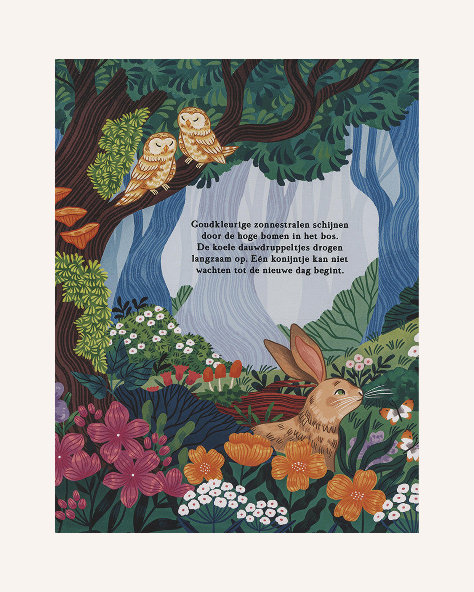 Zoek & vind in het bos – binnenwerk pagina 2