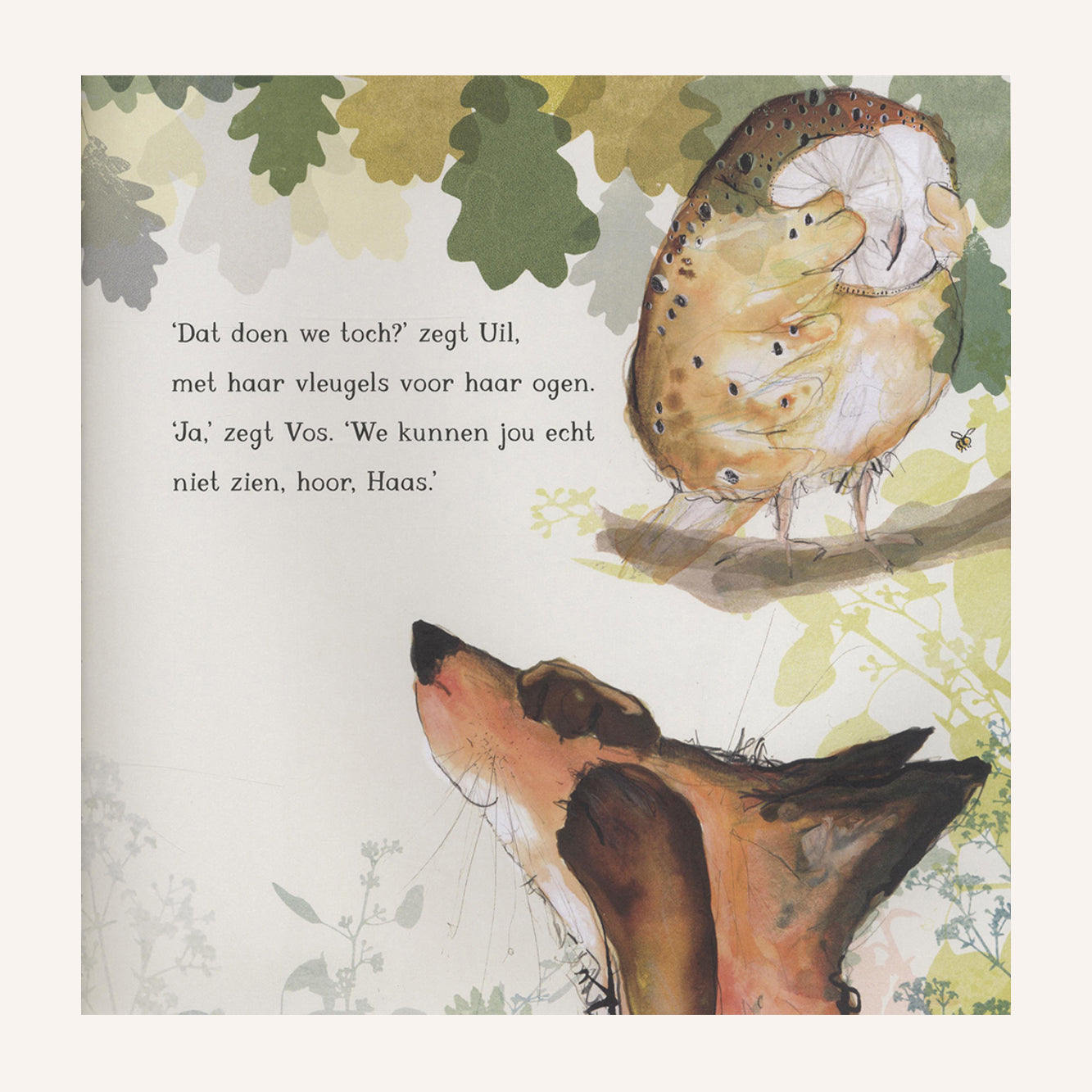 Haas, Uil & Vos Spelen Verstoppertje | Boek
