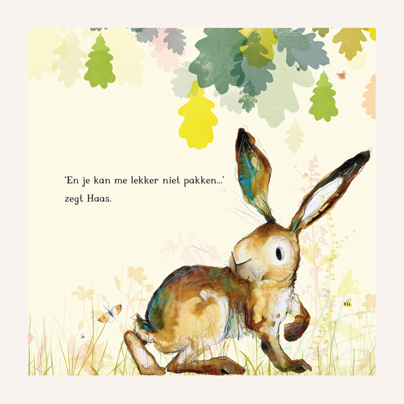 Haas, Uil & Vos Spelen Tikkertje | Boek