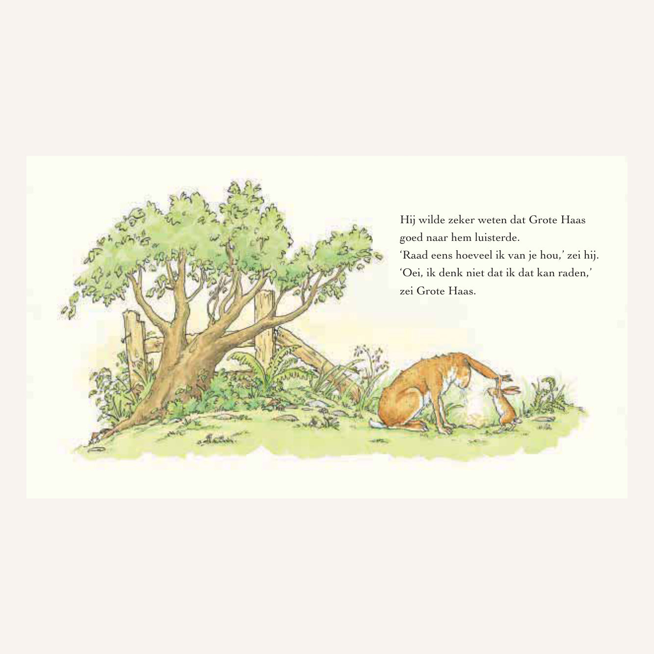 Raad Eens Hoeveel Ik Van Je Hou | Boek