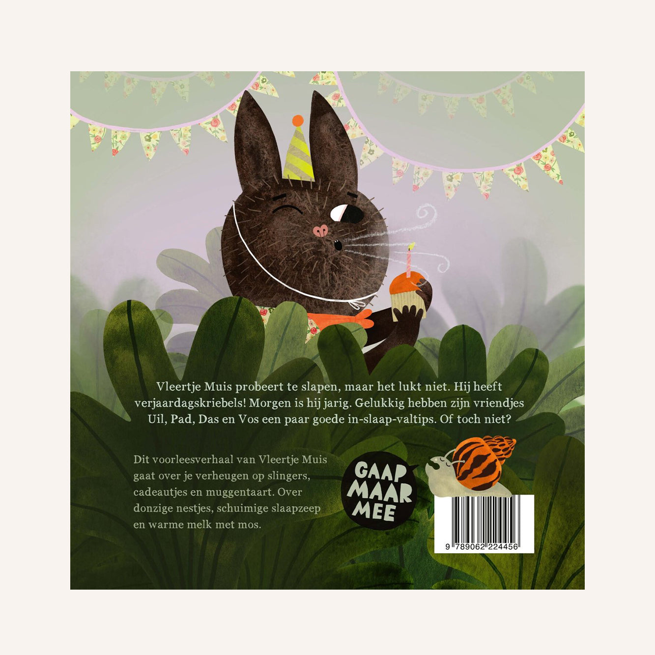 Vleertje muis en het gaapconcert 3 - Boek