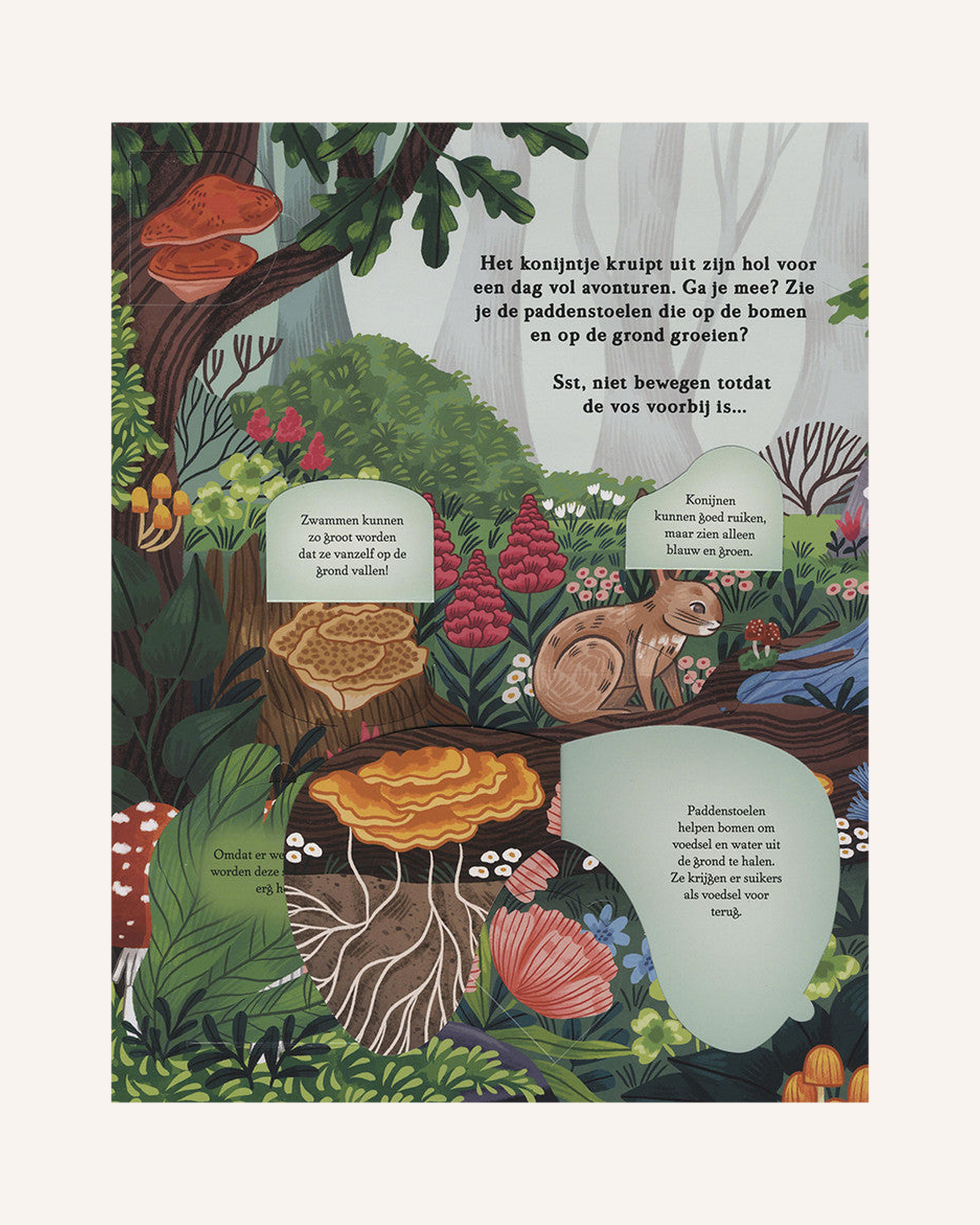 Zoek & vind in het bos – binnenwerk pagina 3